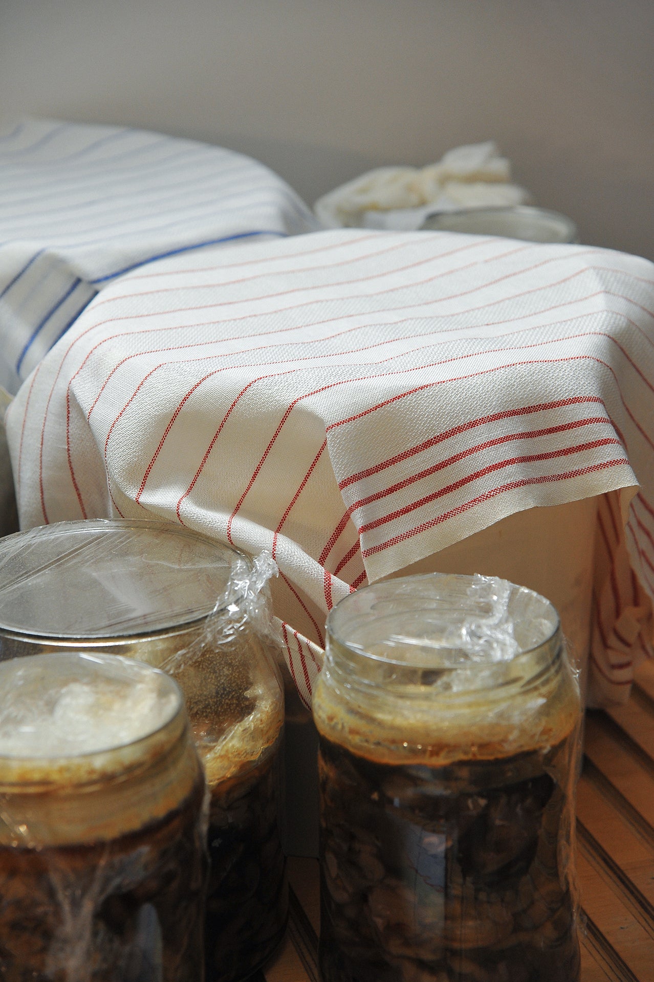 "Stilla" tea towel in White / Red