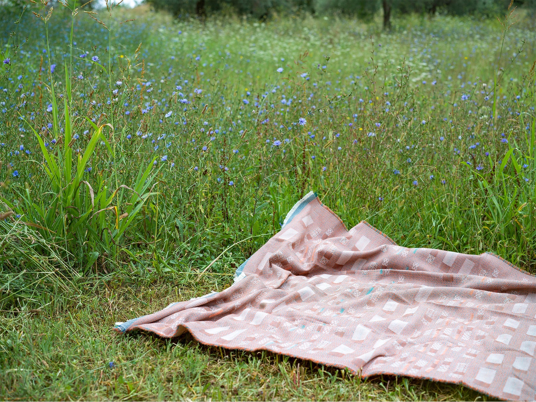 Silk & Wool Throws and Blankets